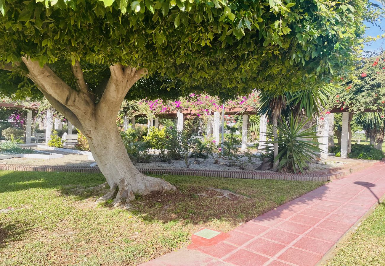 Apartamento en Torrox Costa - Alma de Laguna Beach Torrox Costa