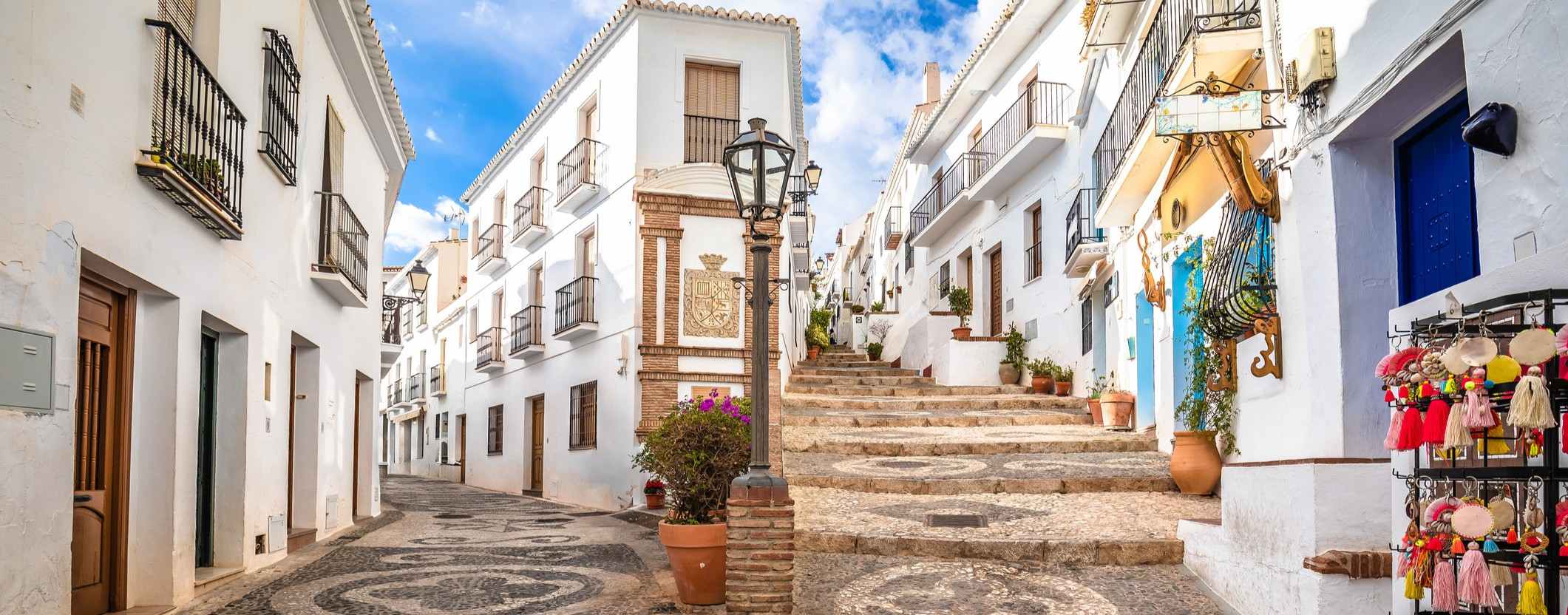 frigilaiana-Costa-del-Sol