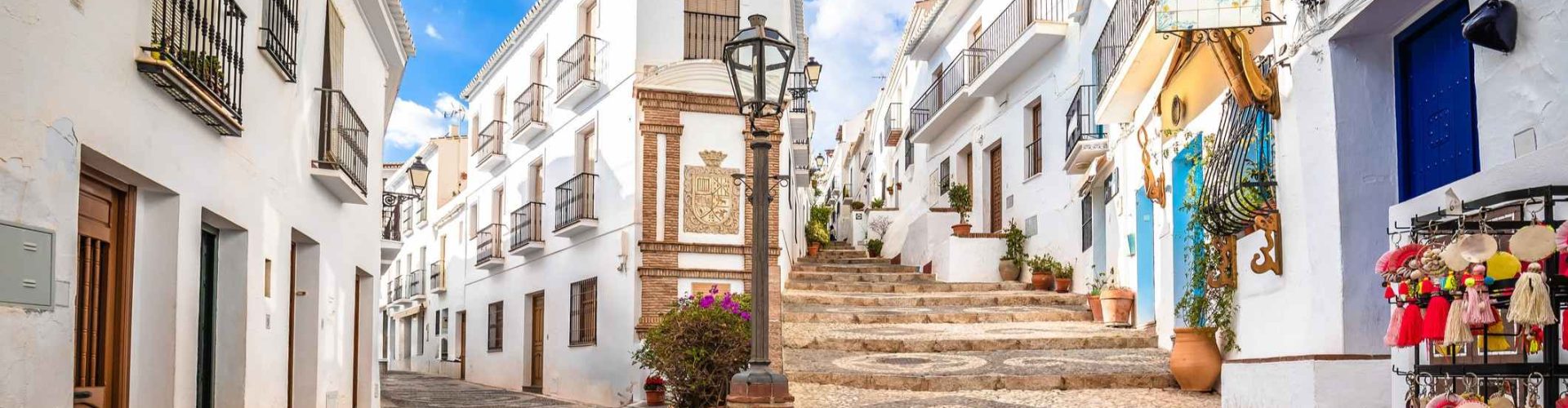 frigilaiana-Costa-del-Sol