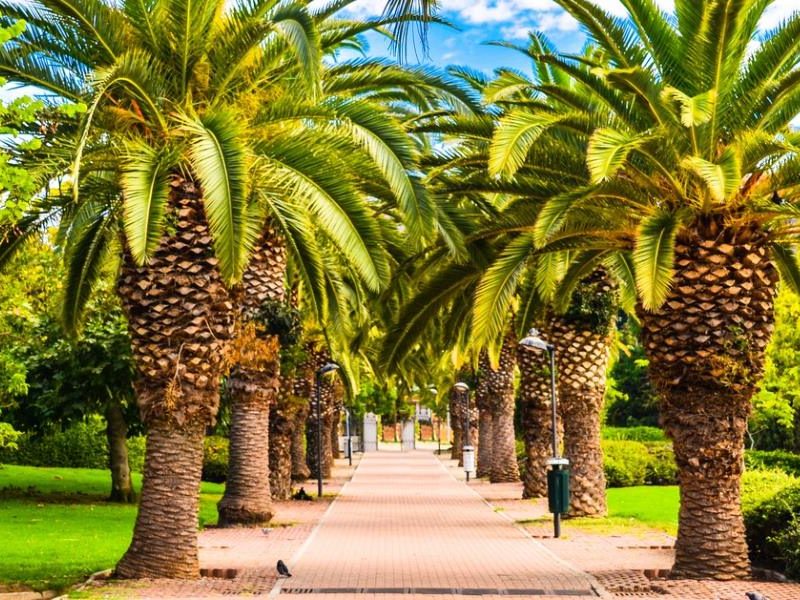 parque-paloma-benalmadena