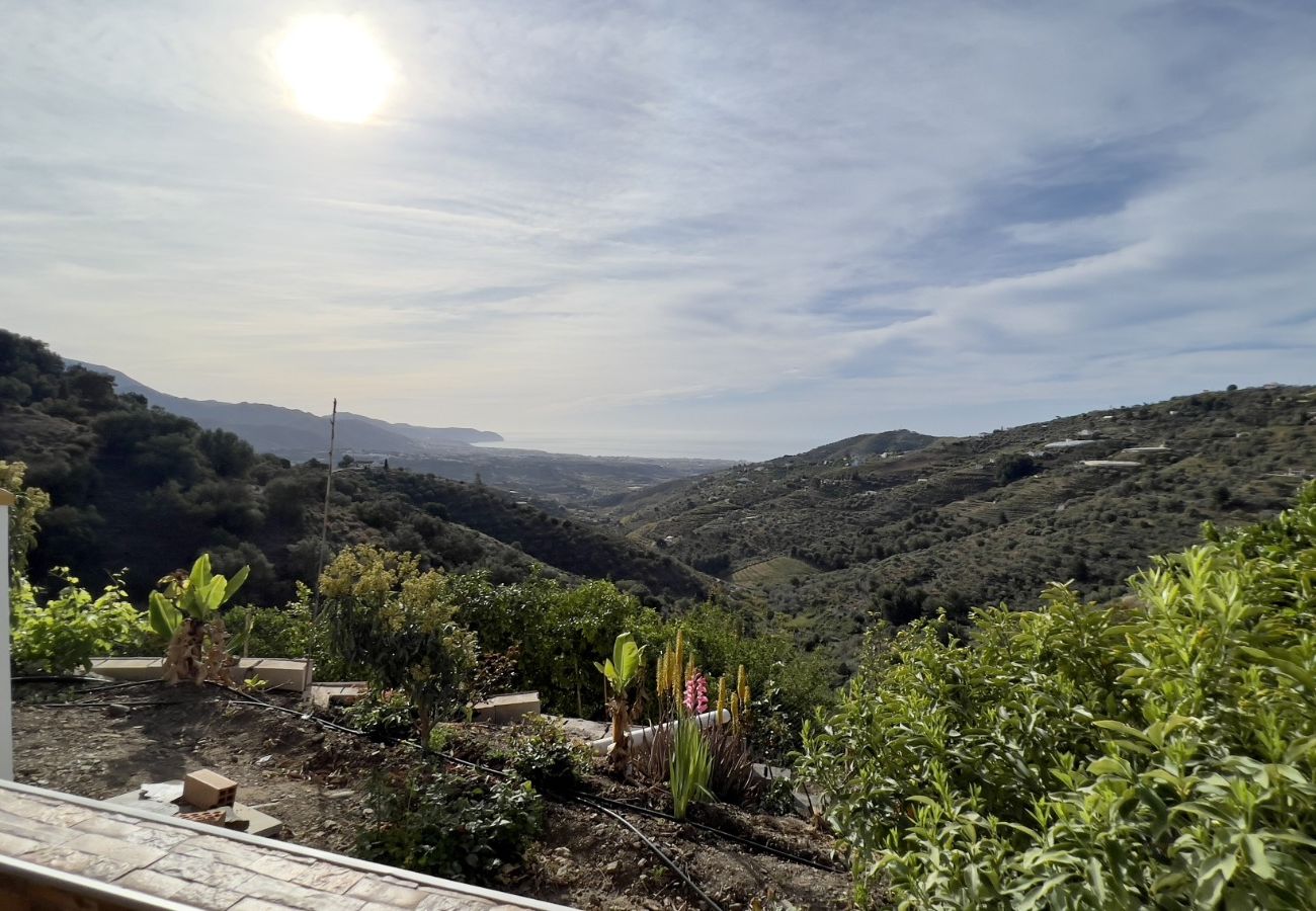 Villa a Torrox - Villa Paco by At Home Costa del Sol